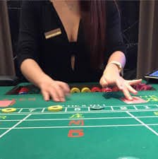555rr casino